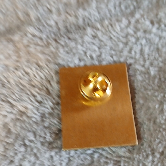 Vintage Indiana State Rally Pins Collection - Picture 9 of 15